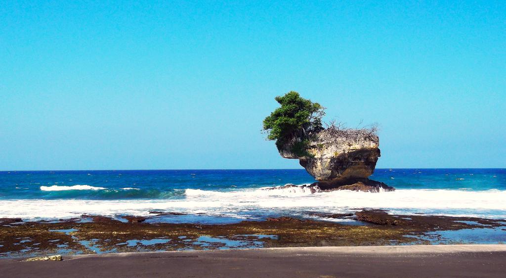 Ragha Homestay Batukaras Esterno foto